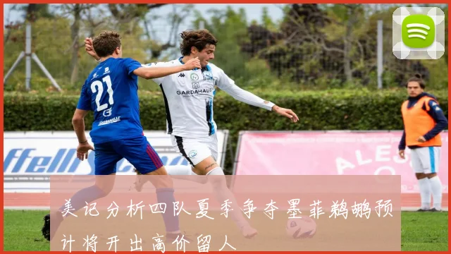 美记分析四队夏季争夺墨菲鹈鹕预计将开出高价留人