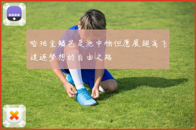 哈珀金鳞岂是池中物但愿展翅高飞追逐梦想的自由之路